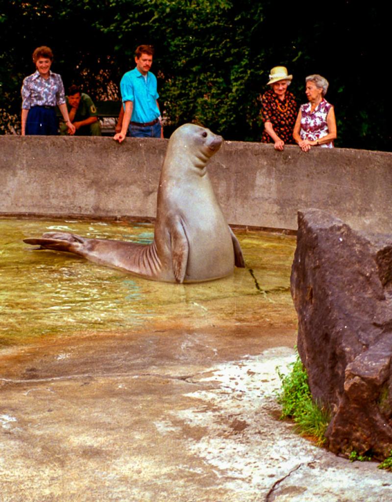 1983-08-10 Berlin Zoo-2